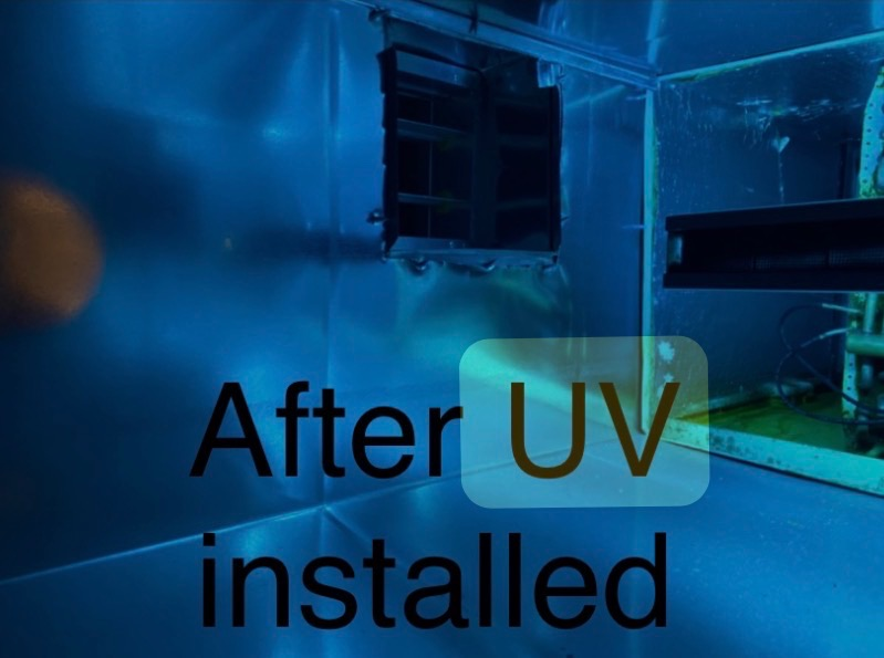 Clean duct interior after a UV light was installed by Prism Enterprises