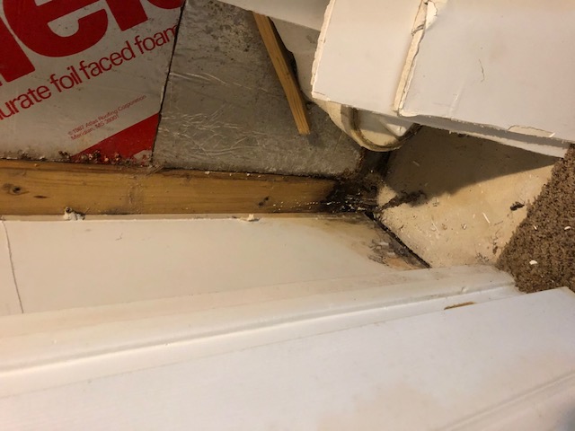 Rotted framing beside a door from water damage