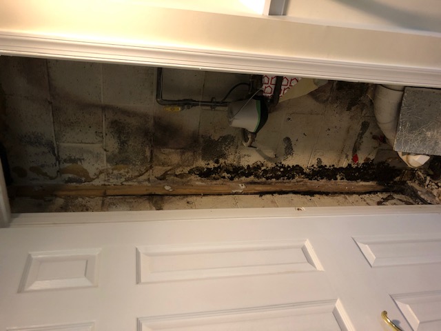 Mold along a door frame