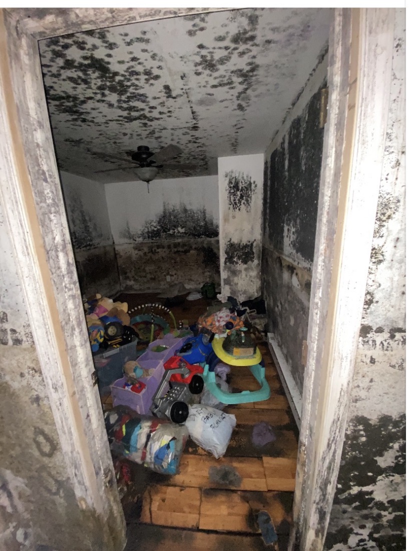 Severe mold growth in a bedroom