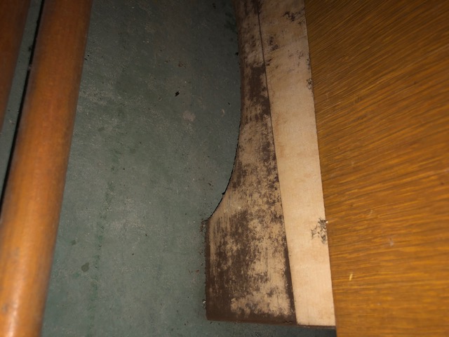 Mold growth inside a cabinet