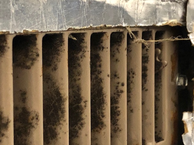 Moldy air register found during an inspection
