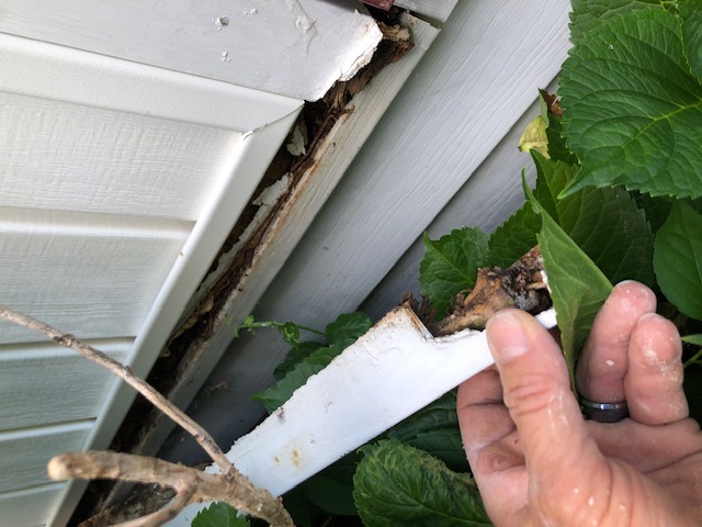 Damaged exterior siding documented before repair