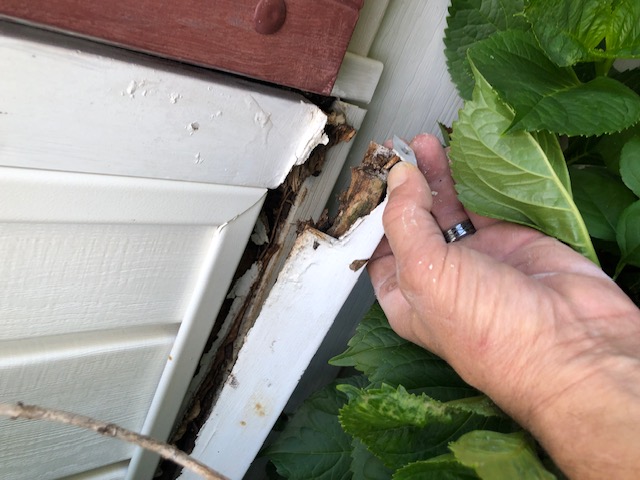 Exterior siding rot caused by long term moisture