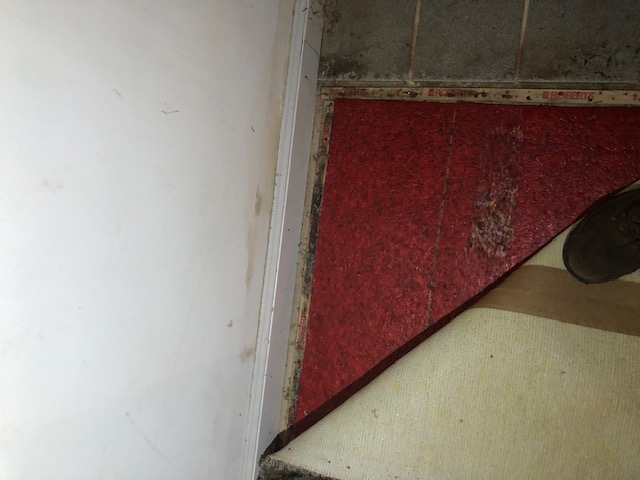 Saturated carpet pad removed after flooding