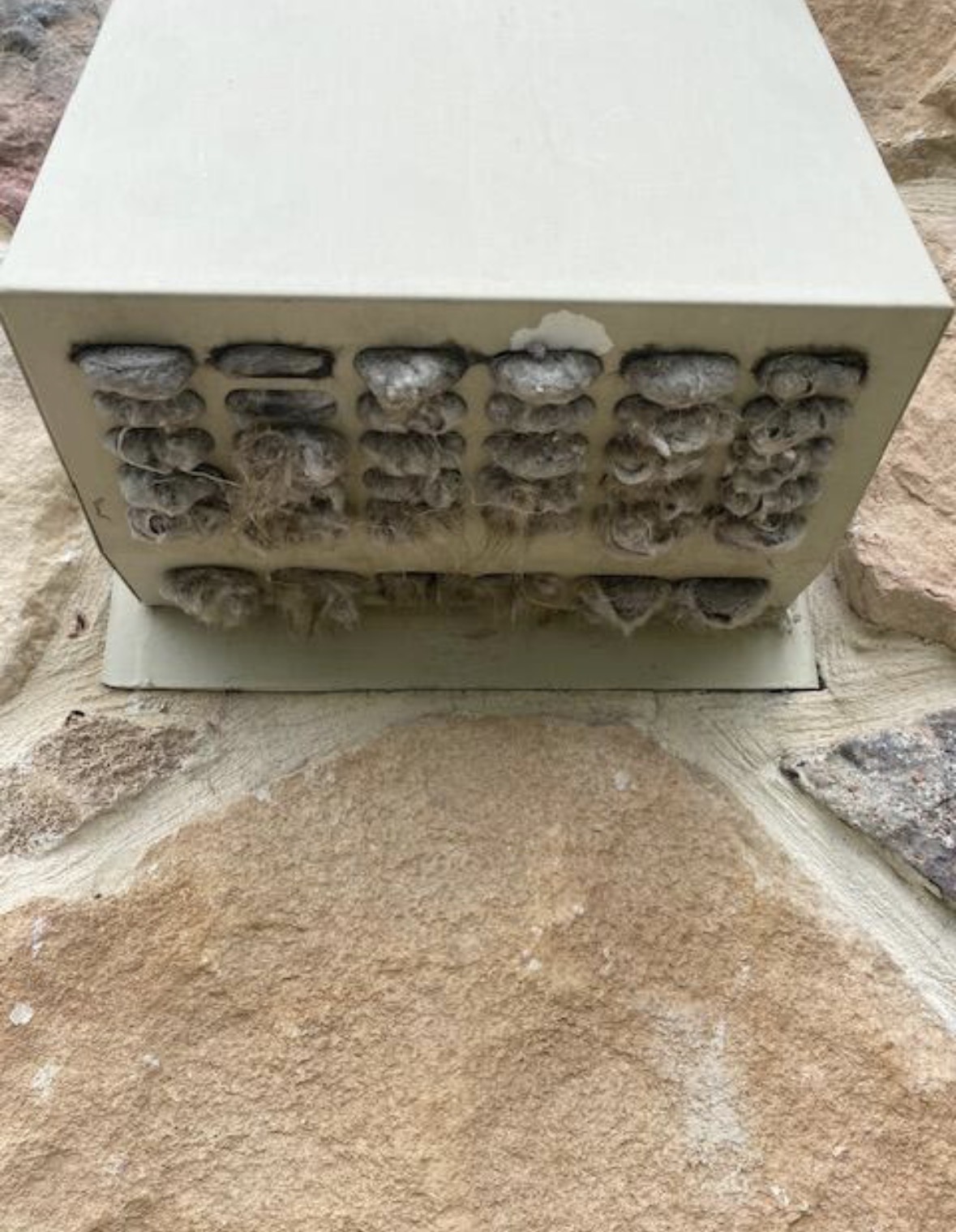 Dryer vent cover completely blocked by lint buildup
