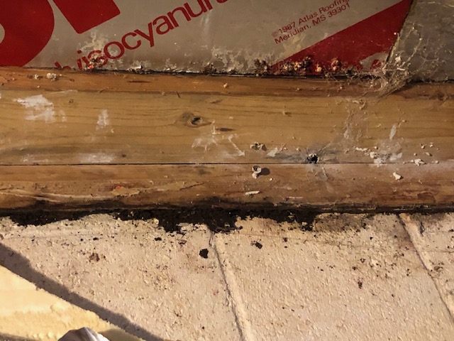Water rotted wall framing exposed during restoration