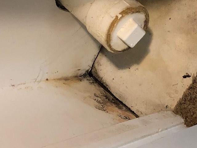 Mold in a wall corner around a pipe